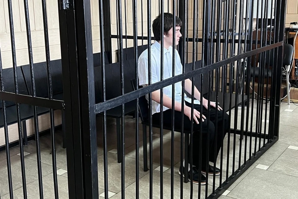 Новосибирскому студенту грозит 20 лет лишения свободы по обвинению в диверсиях. Фото: Управление судебного департамента Новосибирской области