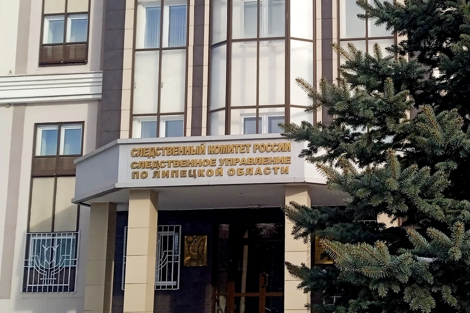 До 15 лет тюрьмы грозит жителю Липецкой области за смертельное избиение соседа