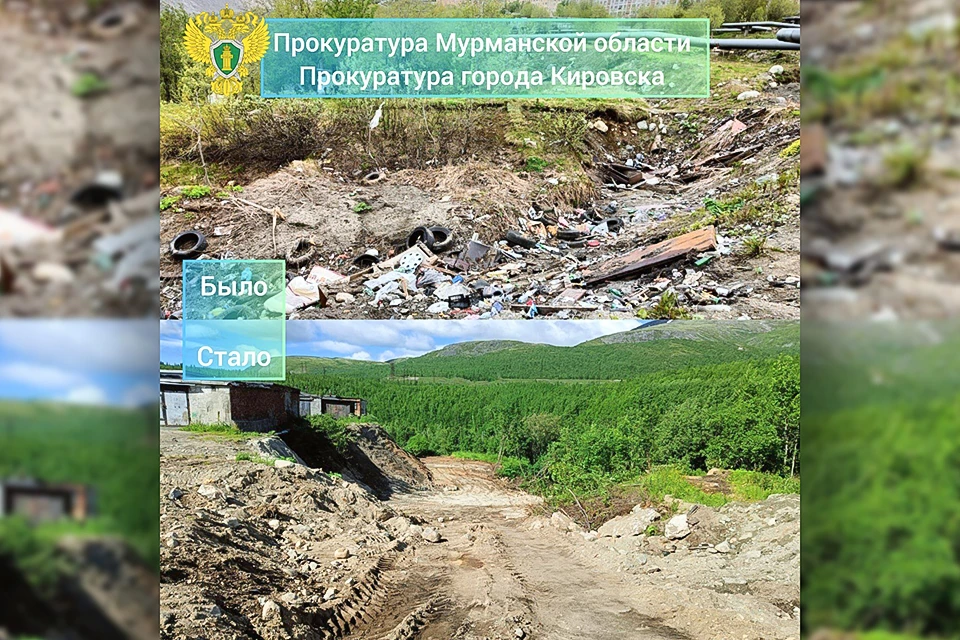 В Кировске после вмешательства прокуратуры убрали огромную незаконную свалку возле районной больницы. Фото: Прокуратура Мурманской области / vk.com/procmurmansk