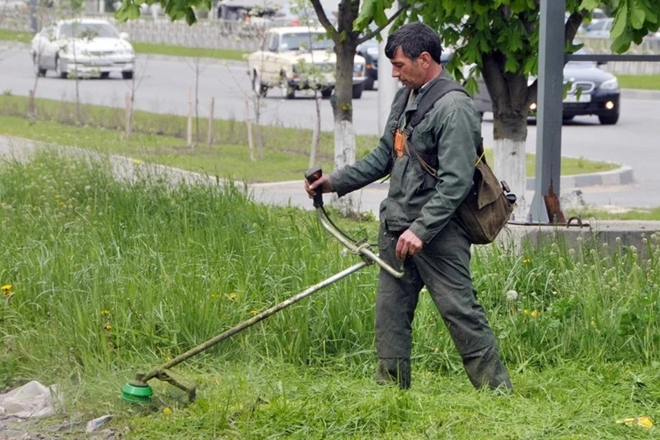 Сейчас покос травы ведется во всех районах города