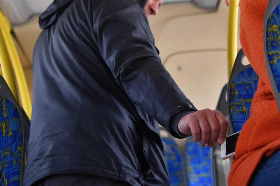 В Новосибирске дали 9 лет колонии строгого режима серийному похитителю телефонов