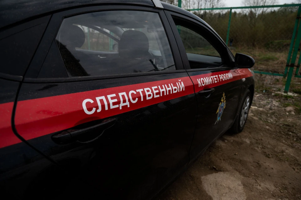 Бастрыкину доложат о проверке водителя-мигранта, из-за которого у петербурженки сломался позвоночник.