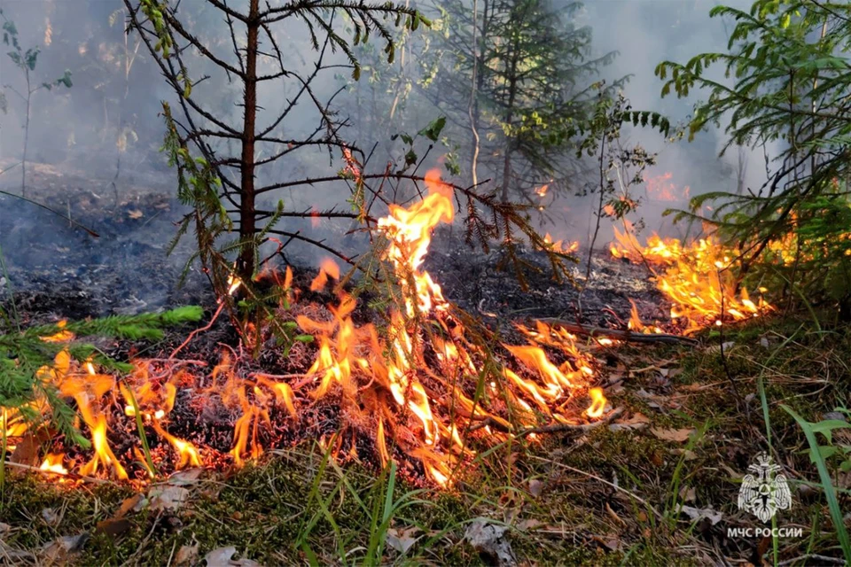 Фото: ГУ МЧС по Пермскому краю