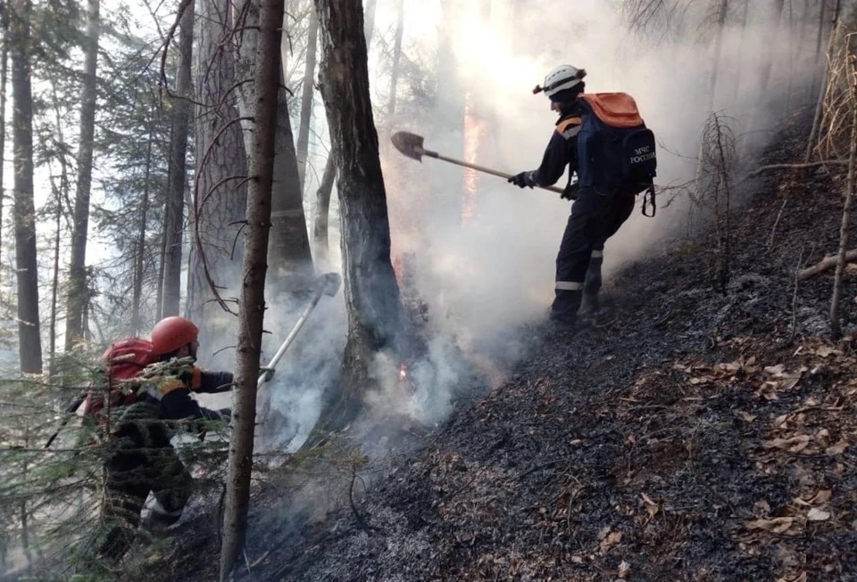 Огонь атаковал большие пространства. Фото: 09.mchs.gov.ru