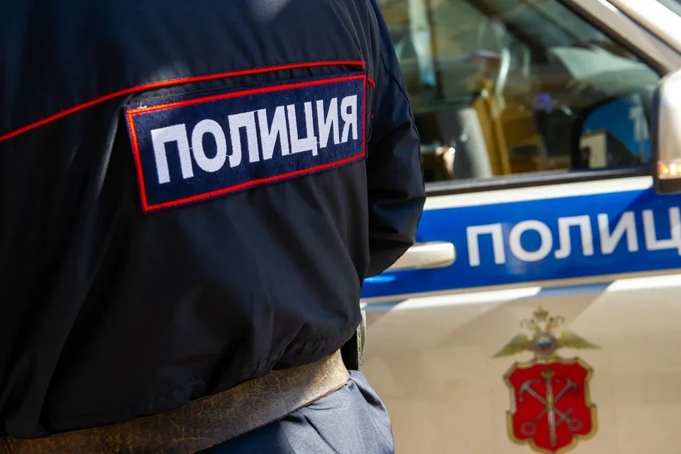 Канал нелегальной миграции перекрыли в Кировске.