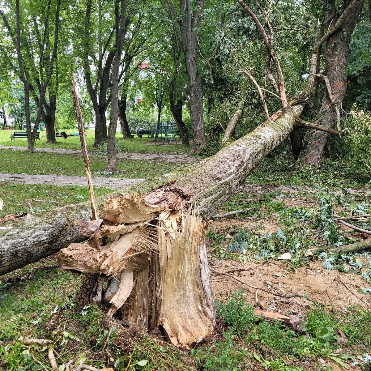 Что происходит в Мозыре и в Гомельской области после урагана: что  происходит с водой, электричеством, состояние детей из лагеря под Речицей -  последние новости на 17 июля 2024 - KP.RU