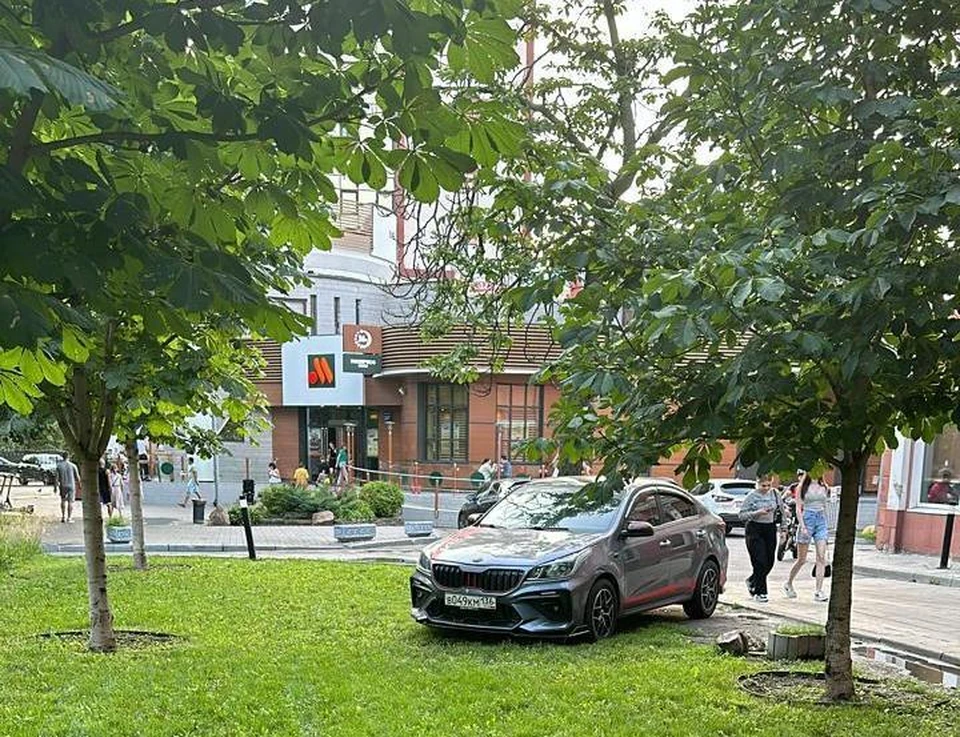 Фото городского управления экологии