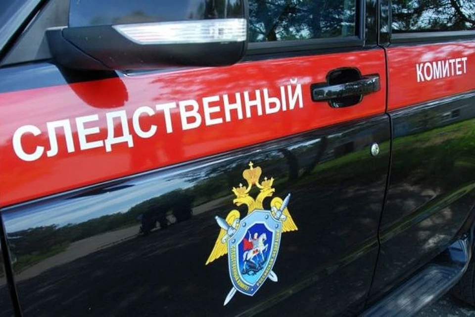 Следователи СКР устанавливают обстоятельства смерти ребёнка в доме-интернате. Фото: СК РФ