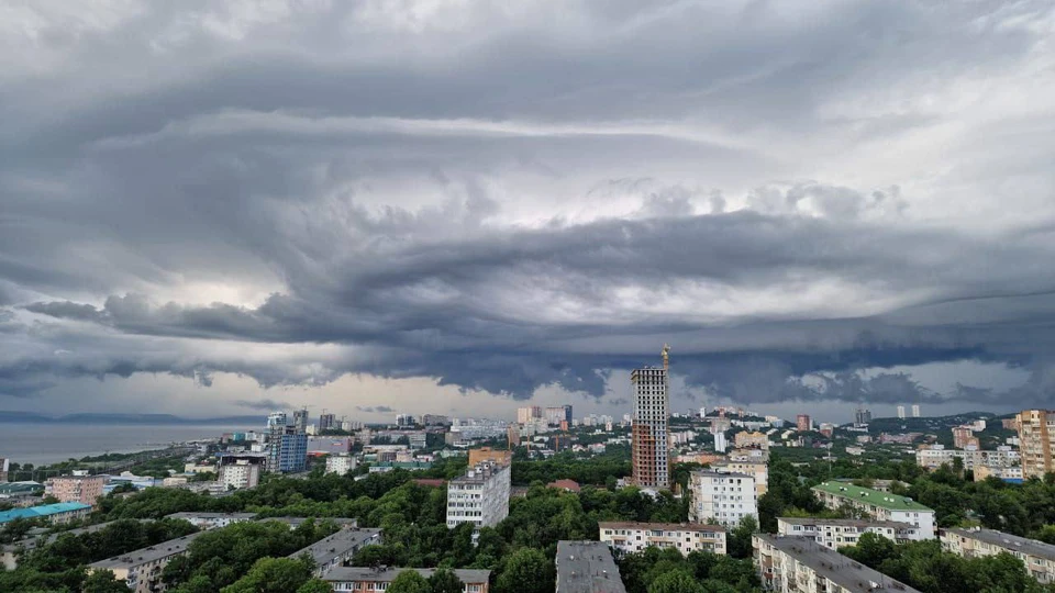 Фото: АО «ДРСК»