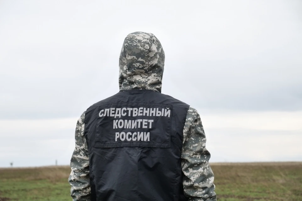 Следком Коми проверяет информацию о нападении собаки на восьмилетнего мальчика