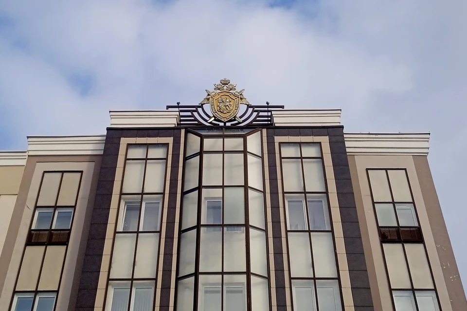 До 20 лет грозит несовершеннолетней за закладки с наркотиками под Липецком