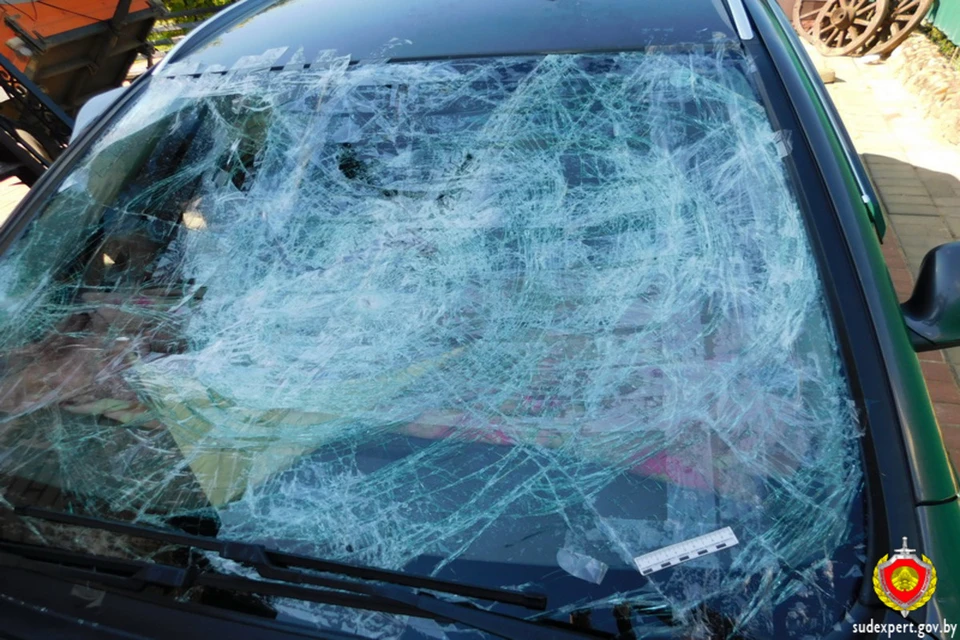 В Дзержинске рабочий из мести повредил бензотриммером авто начальника из-за его ответа. Фото: sudexpert.gov.by