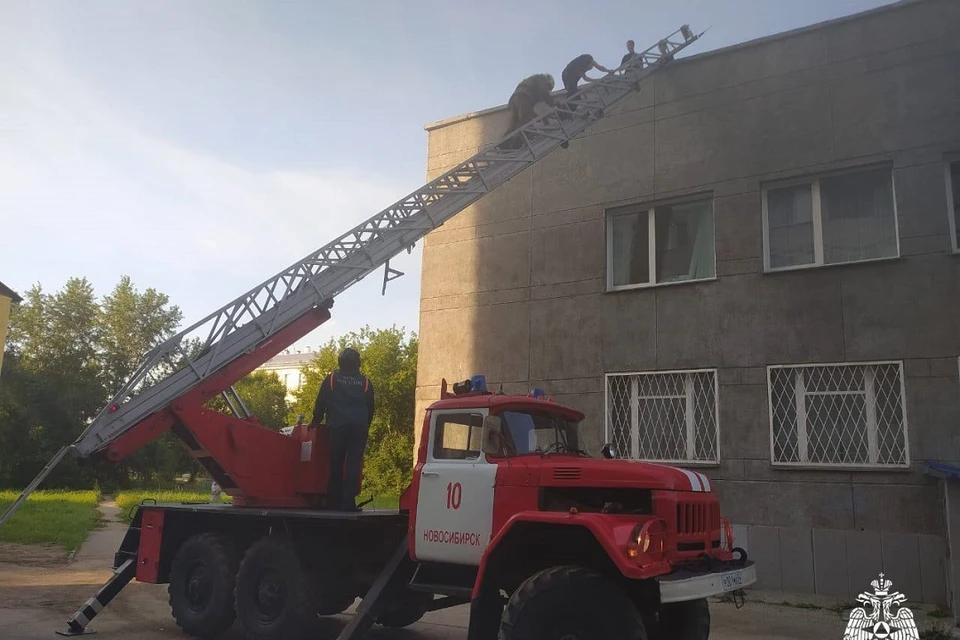 Трое подростков застряли на крыше двухэтажного здания в Новосибирске. Фото: ГУ МЧС по НСО.