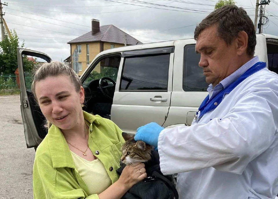 В Железнодорожном районе Ульяновска прошла профилактическая вакцинация животных против бешенства. ФОТО: тг-канал Агентства ветеринарии УО