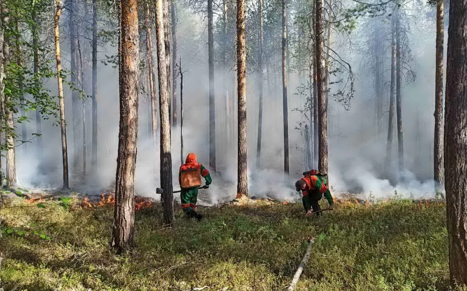 Фото: МЧС России по ЯНАО