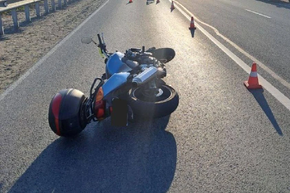 Фото: УГИБДД по МО