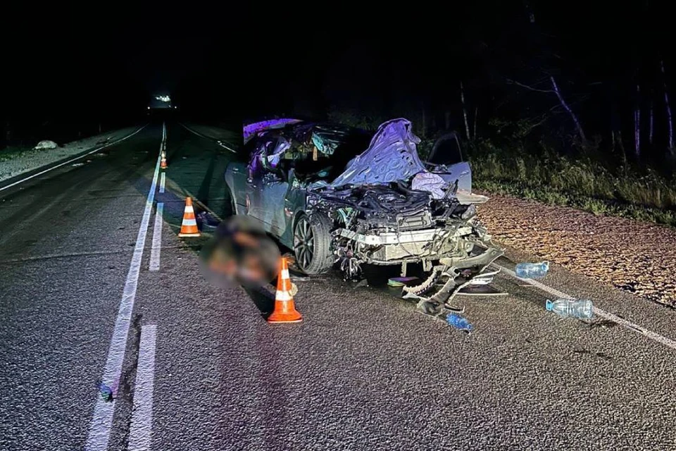 Въехал в табун лошадей водитель «Mercedes-Benz» в Аларском районе