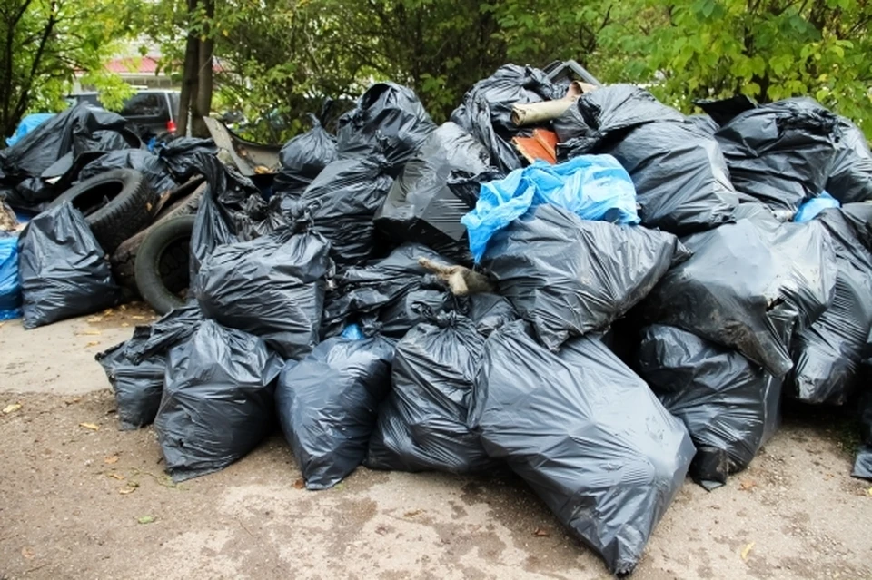 Запасам мусора в квартире позавидовала бы любая городская свалка.