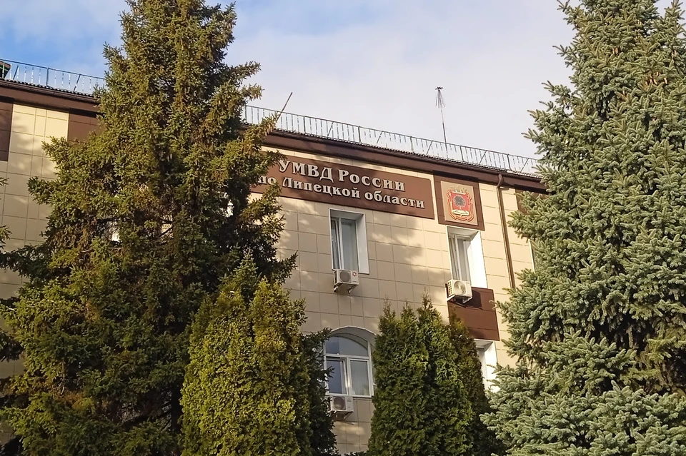 До семи лет грозит жителю Липецка за кражу продуктов и бытовой химии на 70 тысяч