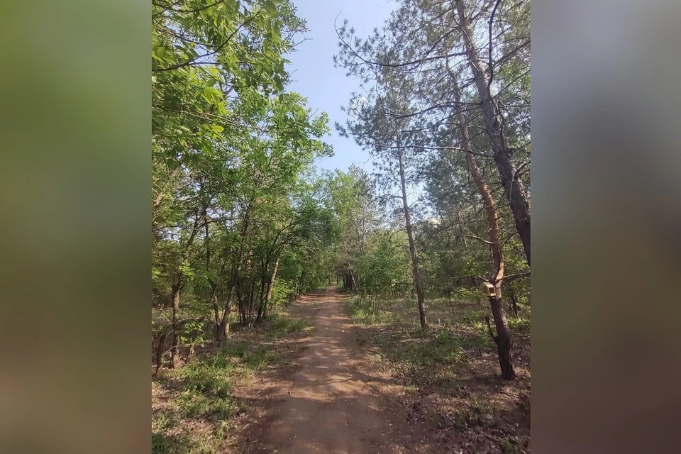 Подрядчику нужно будет провести подготовку перед началом благоустройства территории.