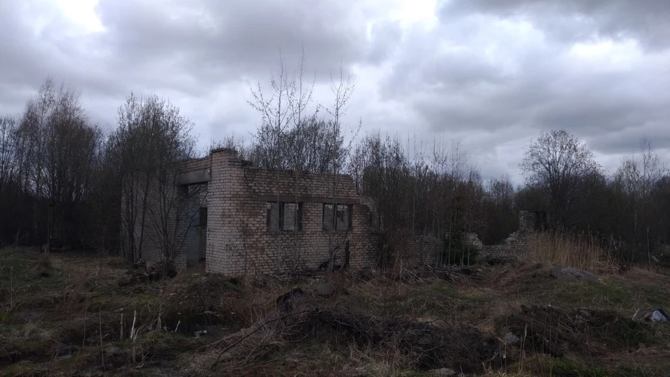 Участок площадью 3,8 гектара продают за 931,5 тысячи рублей. Фото: "ГИС Торги"