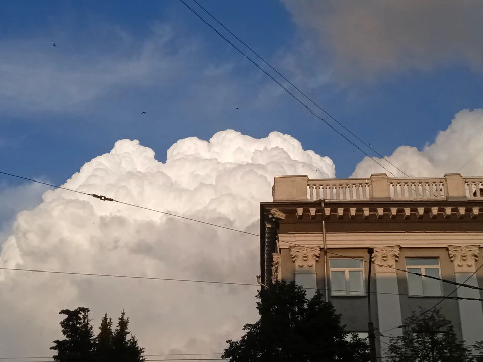 Выходные в Кузбассе снова будут жаркими. Фото: Роман ВОРОНКИН.