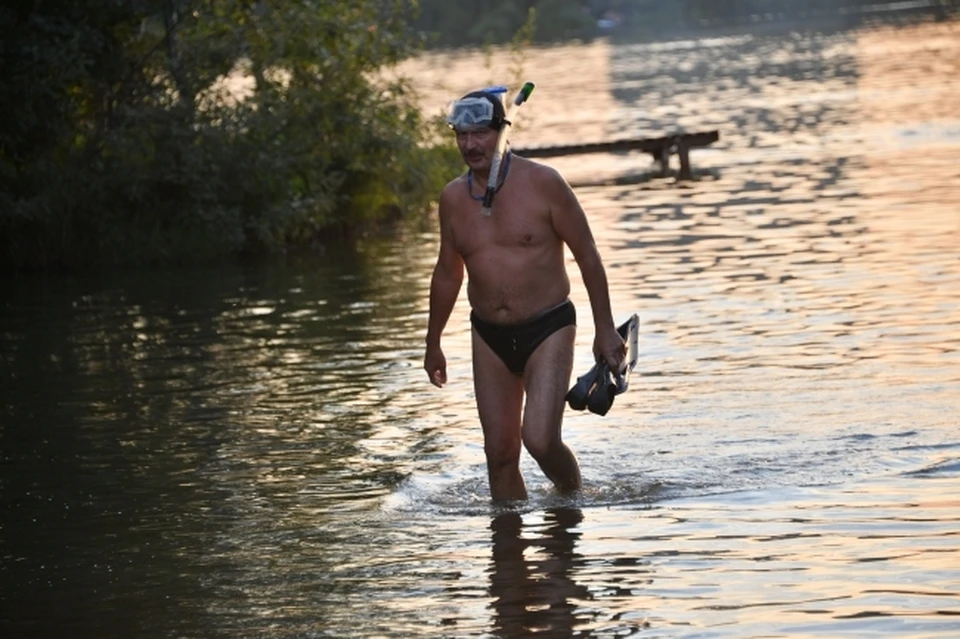 Температура воды в Амурском заливе +24°C.