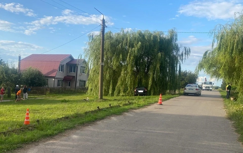 Фото: Управление Госавтоинспекции Орловской области