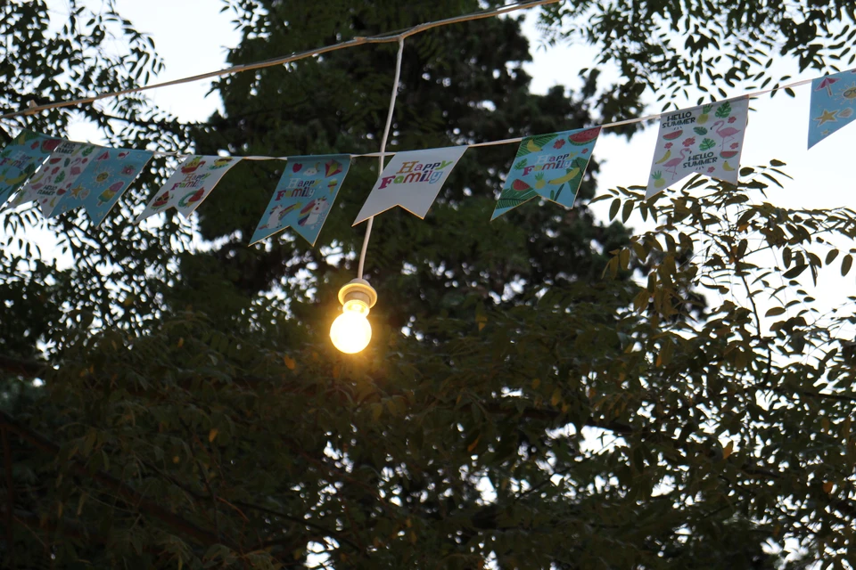 В Симферополе на несколько часов пропадет электричество. Фото: архив КП