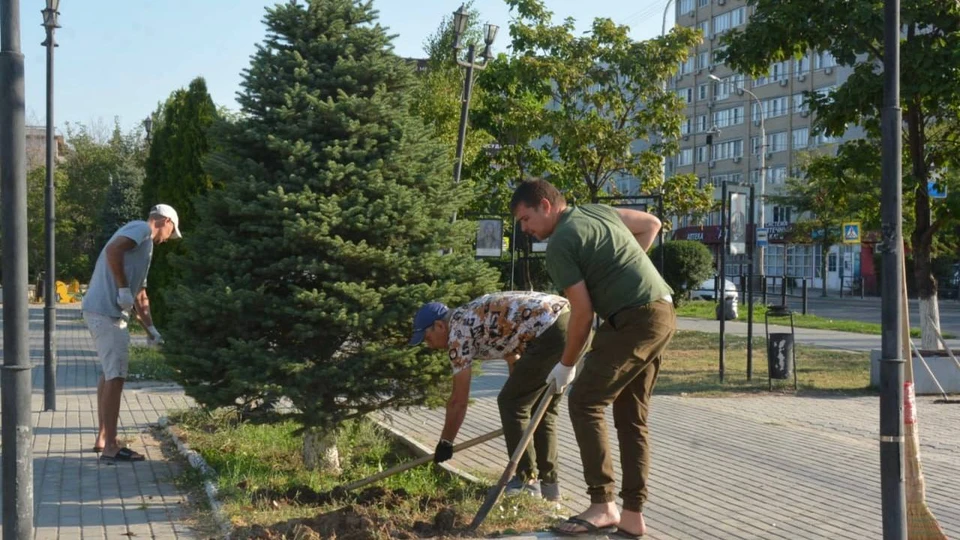 Специалисты зачистили клумбы от сорняков, провели формовочную обрезку хвойных деревьев, покрасили и отремонтировали лавочки, убрали мусор