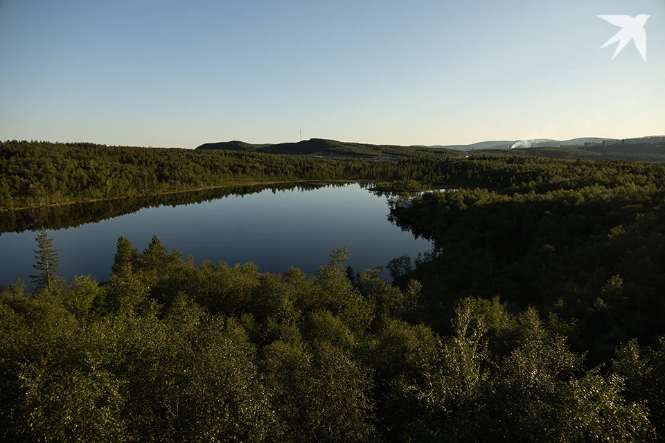 У КП-2 в Мурманске может гореть лес.