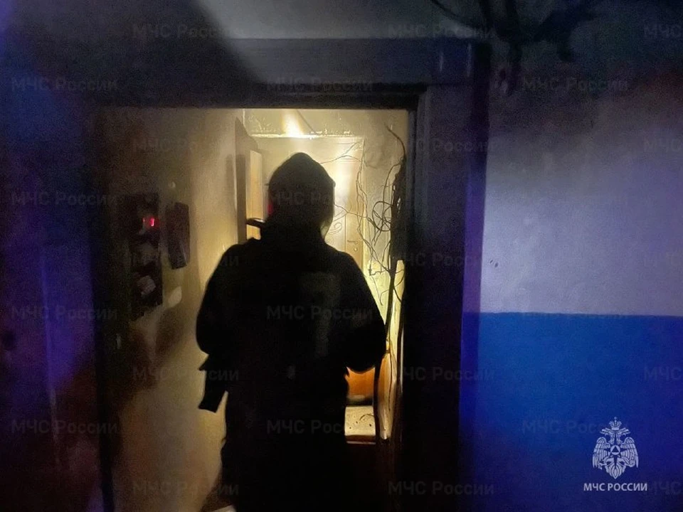 9 человек эвакуировали из горящей многоэтажки в Новомосковске