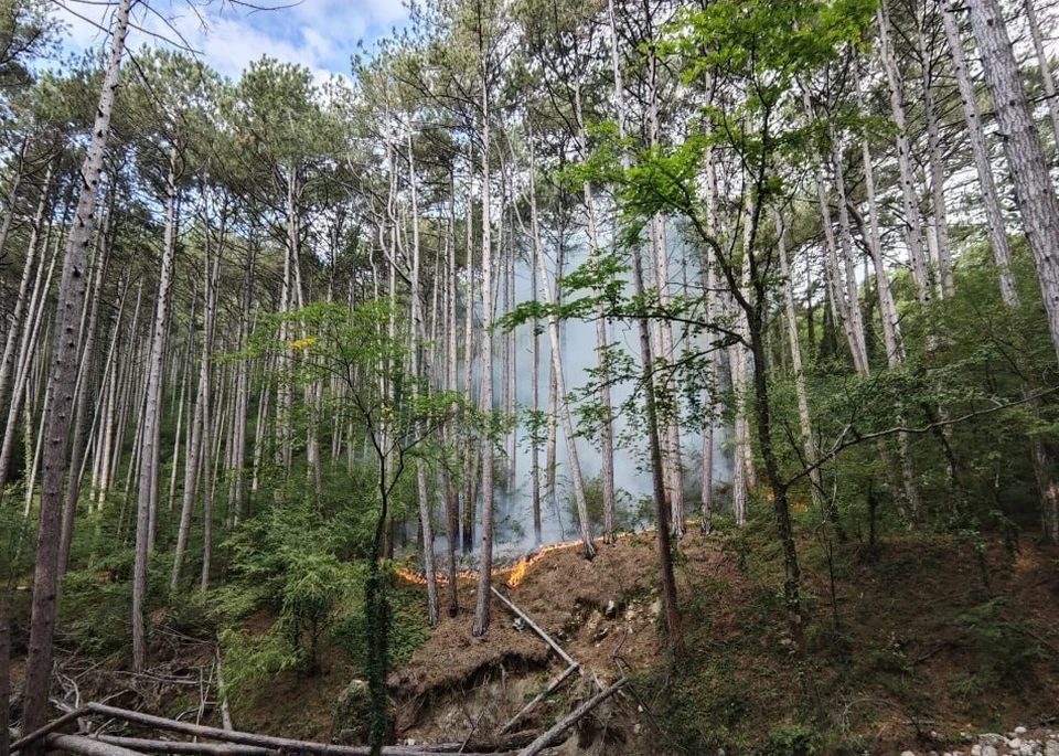 В заповеднике возле Ялты горела лесная подстилка. Фото: ГУ МЧС России по РК
