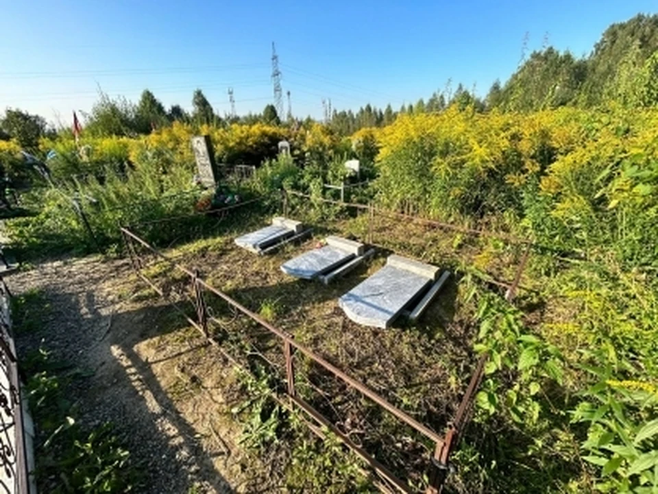 Следком Кузбасса ищет в Мысках вандалов. Фото пресс- служба СУ СК Кузбасса.