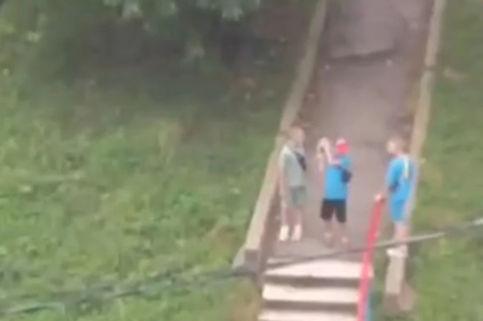 Фото: принтскрин видео vdk_tiger_vladivostok25.