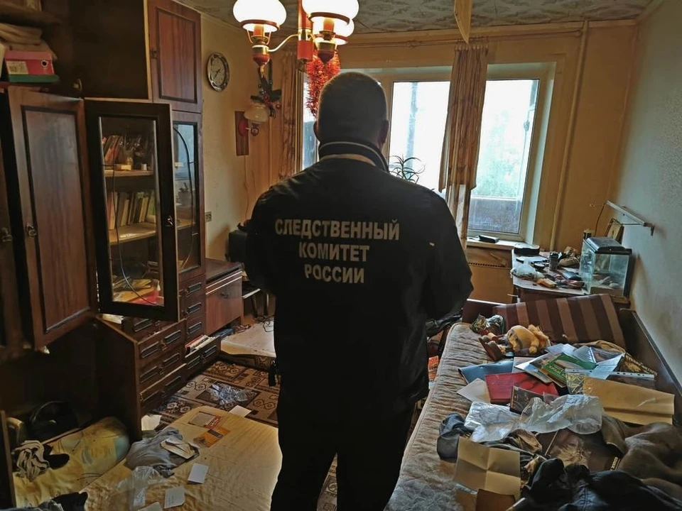 Источник: https://vk.com/kostroma.sledcom