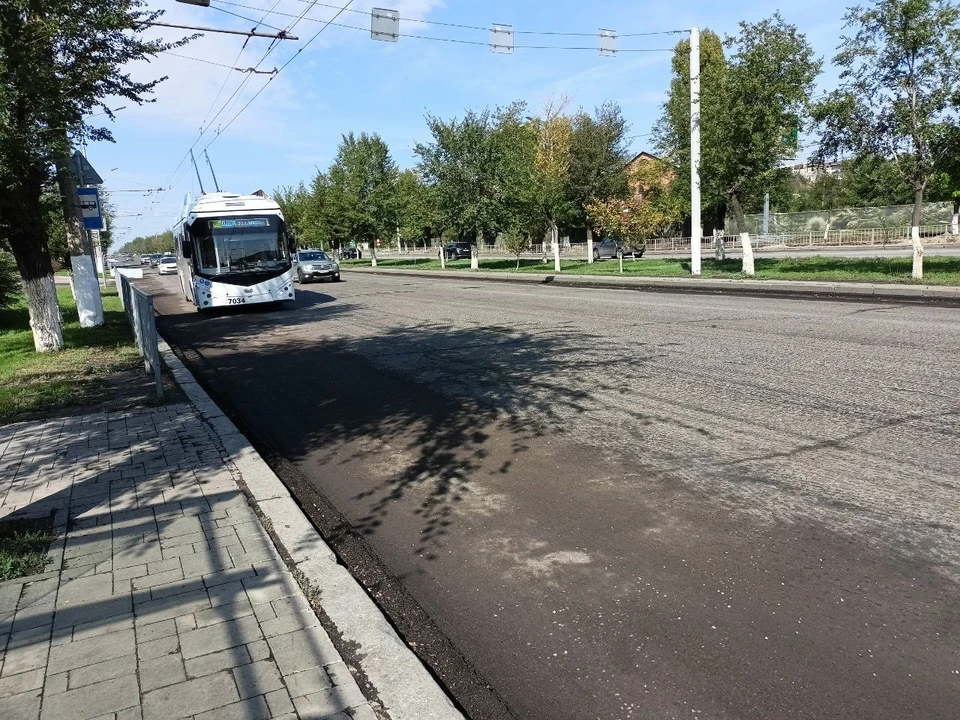 Вдоль проспекта Жукова высадят сосны.