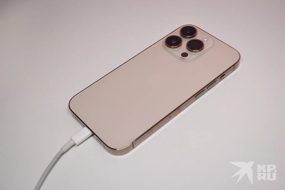 Паблик «ВКонтакте» обязали выдать рязанке приз iPhon 13 Pro Max