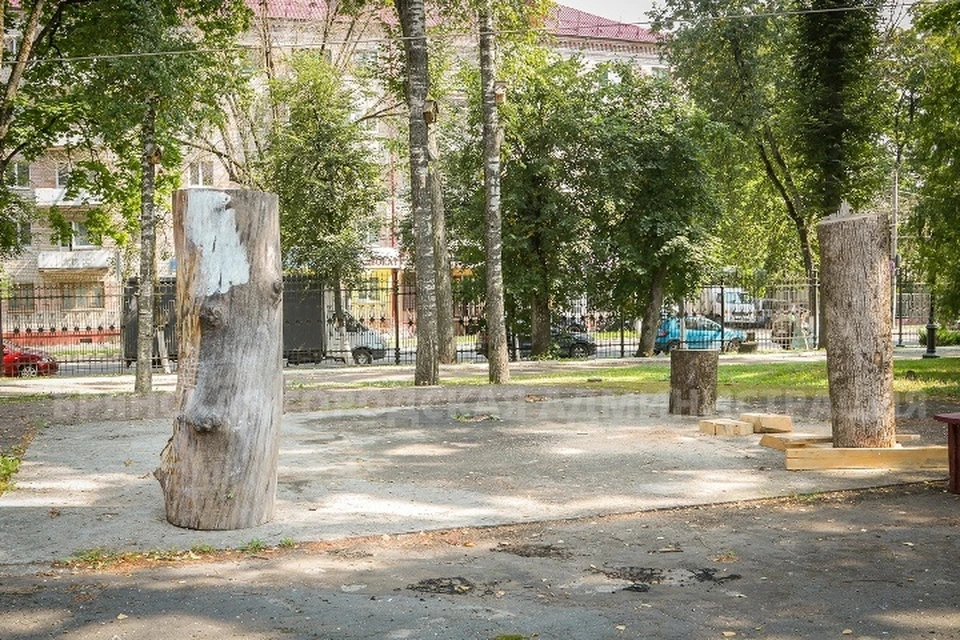 Фото: пресс-служба Брянской городской администрации.