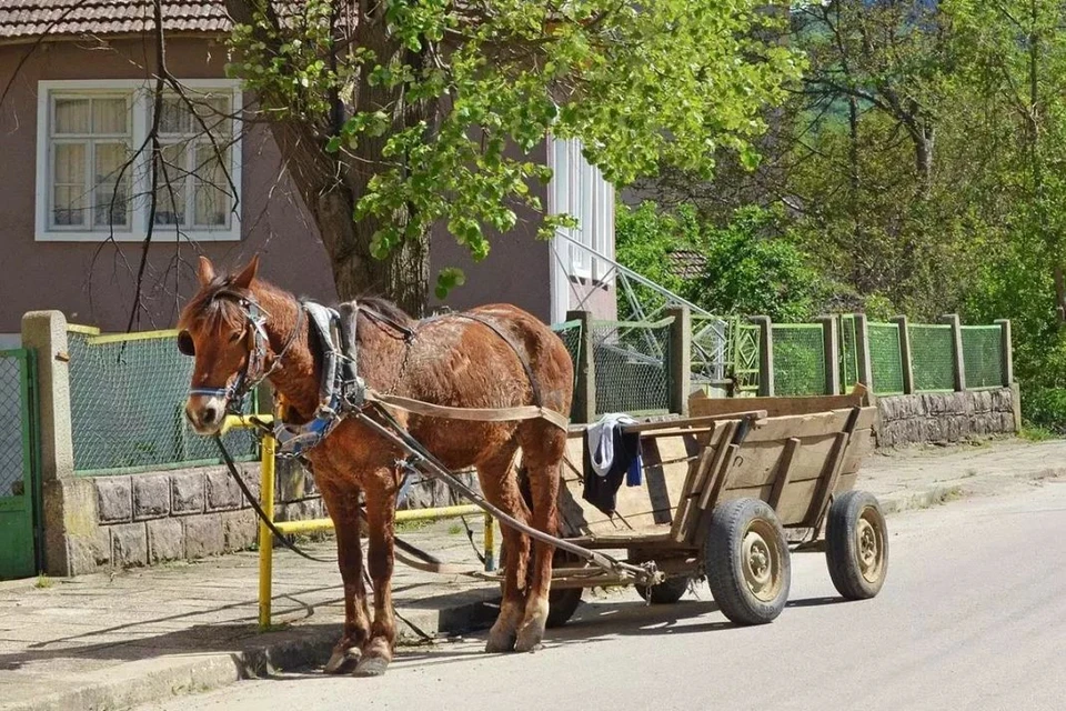 Фото: соцсети