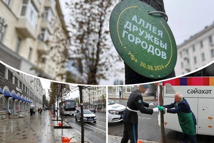 Панорама: Калининский РОСП г. Уфы, судебные приставы, Новочеркасская ул., 18, Уфа — Яндекс Карты