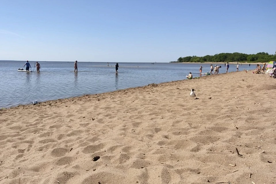 Мэр города Ильсур Метшин отметил, что в жару людям необходим отдых у воды.