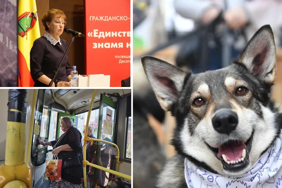 Все, что нужно знать рязанцам о предстоящей осени.