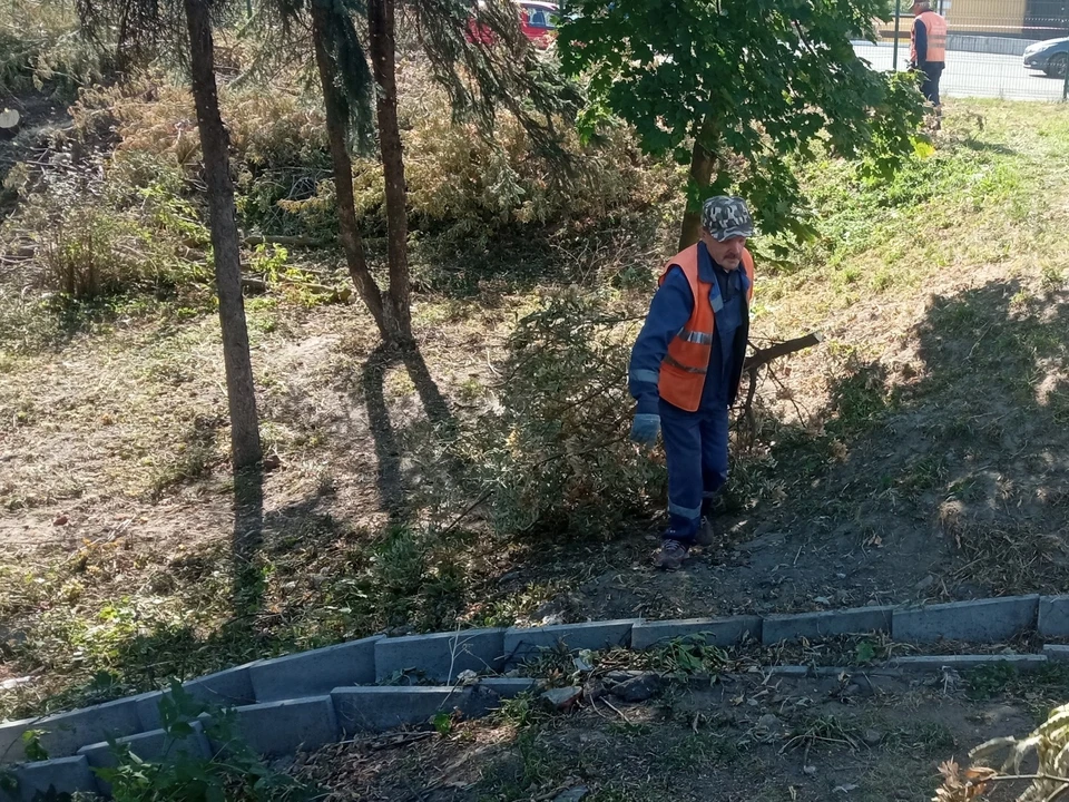 Фото с официальной страницы ЦУГД города Владимира в ВК.