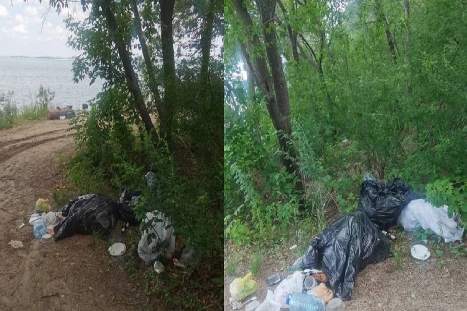 После проверки прокуратуры в парке под Новосибирском убрали незаконную свалку. Фото: Прокуратура Новосибирской области.