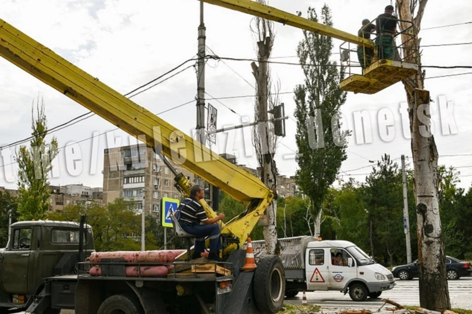 Рабочие приступили к спиливанию пострадавших деревьев. Фото: ТГ/Кулемзин