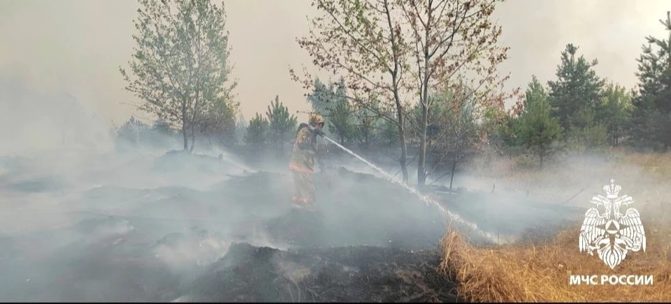 фото ГУ МЧС России по Воронежской области