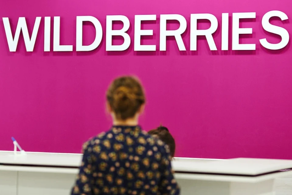 РВБ: Wildberries готовит иск против «ВБ Девелопмент» на 27 млрд рублей