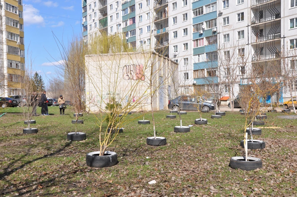 Предполагается, что покрышки можно будет сдать в шиномонтаж