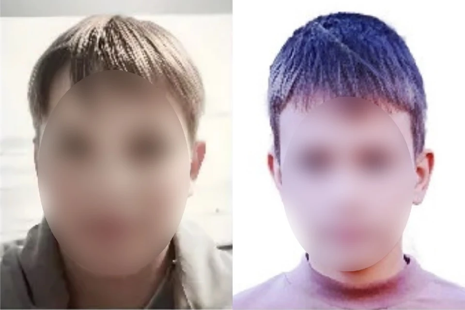 Появились подробности исчезновения двоих 12-летних мальчиков в Новосибирске. Фото: ДПСО «ЛизаАлерт НСО»